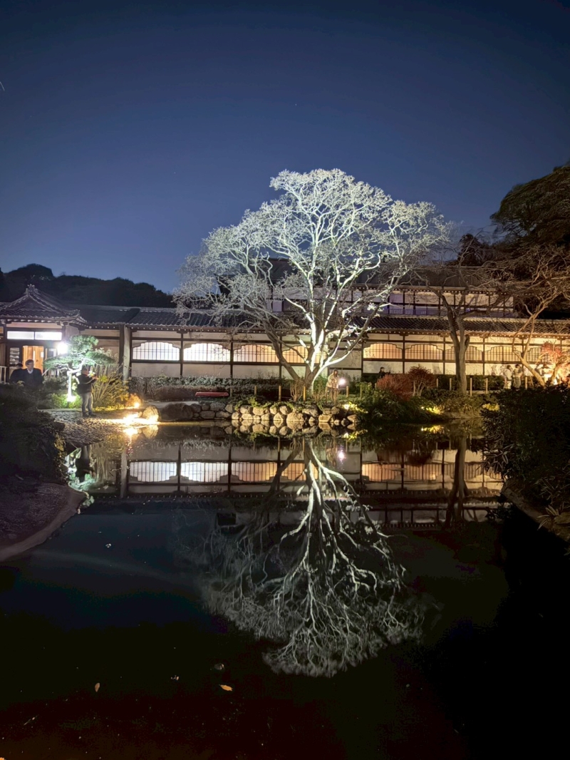 「遊行の光」開催中