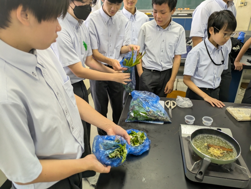 遊行塾紹介～道食おうぜ！野食入門～
