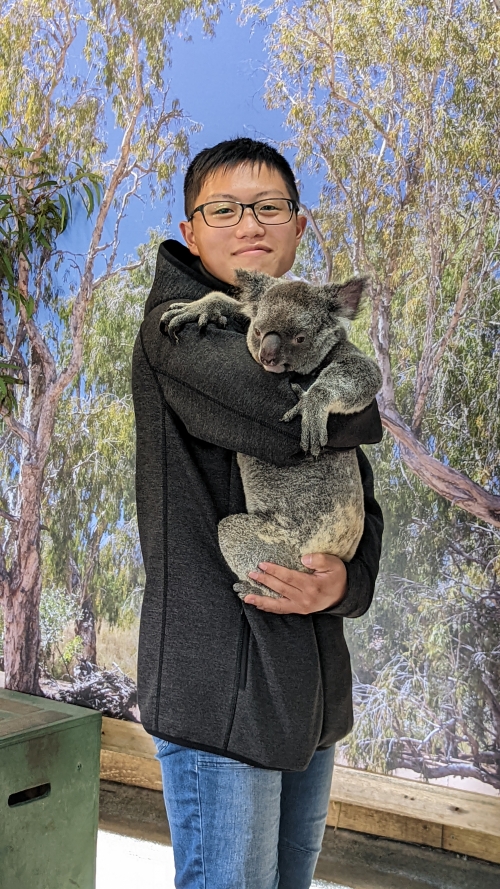 コアラを抱く.jpg