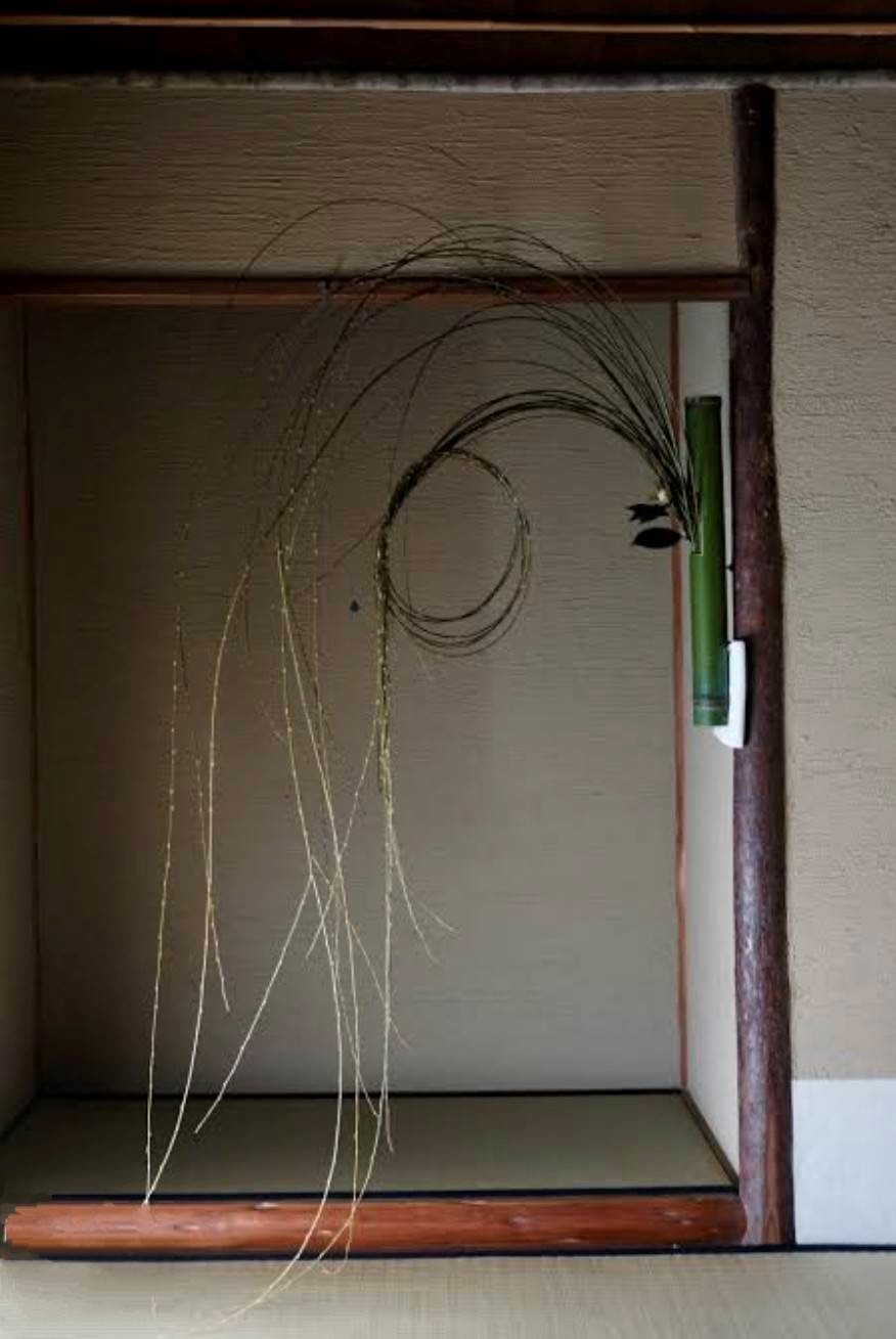 結び柳について